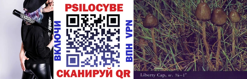 Купить закладки  Каменка  Галлюциногенные грибы GOLDEN TEACHER 