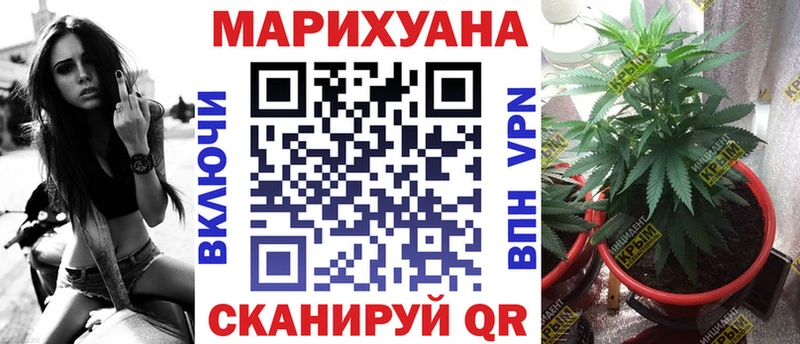 Купить где  Каменка  Бошки марихуана марихуана 